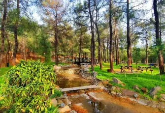 İzmir'de gidebileceğiniz en güzel piknik alanları