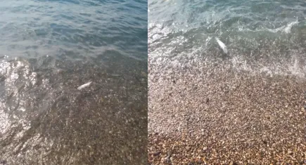 Karaburun’da tedirgin eden patlama!