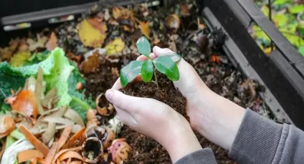 Karşıyaka Belediyesi ücretsiz kompost eğitimi verecek