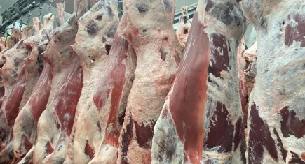 Karkas et kesim fiyatları durdurulamıyor