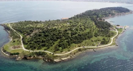 İzmir siyasetinde ‘Ada’ polemiği