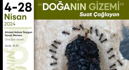 ‘Doğanın Gizemi’ 4 Nisan'da Sanatseverlerle Buluşuyor