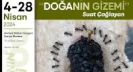 Doğa’nın Gizemi sizlerle!