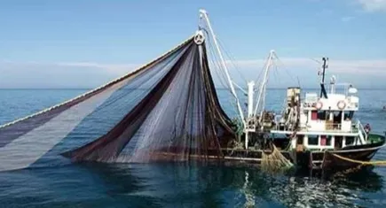Ege Denizi’nde av yasağı yarın başlıyor