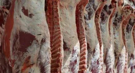 Kırmızı Ette fiyatlar ilk kez geriledi