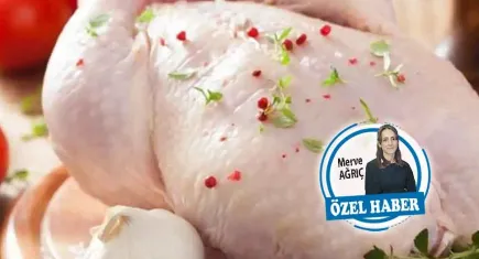 Tavuk etinde ihracatın engellenmesi üretimi azaltacak mı?