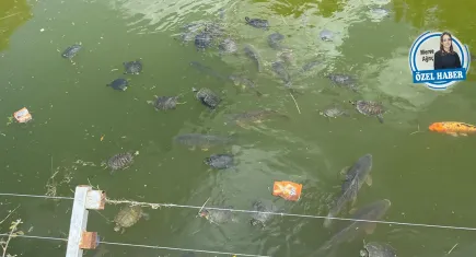 Ziyaretçiler İzmir Doğal Yaşam Parkı'nı daha özenli görmek istiyor