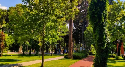 Buca’da Çevre Şenliği başlıyor
