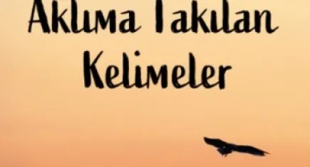 Kelimeler etrafında hayata bir bakış: Aklıma Takılan Kelimeler