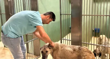 Buca Belediyesi’nden örnek hareket