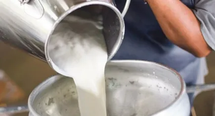 TÜSEDAD açıkladı; Çiğ süt fiyatı 20 TL’ye yükselmeli