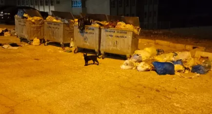 İşten çıkarma krizi yaşanan Menemen’de çöpler toplanmıyor