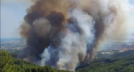 Antalya'da orman yangınına müdahale sürüyor