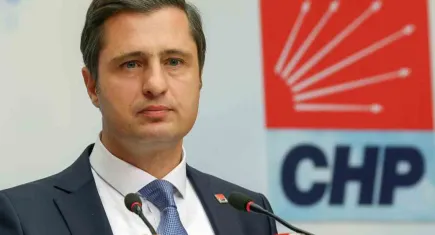 Deniz Yücel: Bu toplumda hiç kimse sokak hayvanları sorunu yok demedi