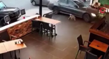 Milas'ta  park etmek isteyen sürücü, aracın kontrolünü kaybederek markete daldı!