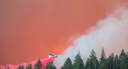California'nın en büyük dördüncü yangını: 400 bin dönümden fazla arazi yandı
