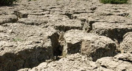 İzmir'in 160 yıllık kuraklık haritası çıkarıldı