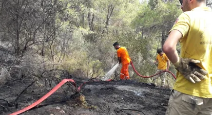 Kemer'de çıkan orman yangını kontrol altına alındı