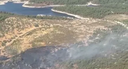 Manisa'daki orman yangını kontrol altında  