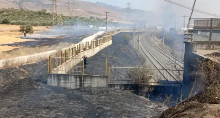 İzmir'de yangın: Yola atılan sigara izmariti kuru otları tutuşturdu