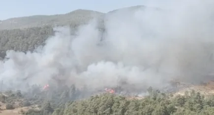 Muğla'daki orman yangınına müdahale sürüyor!
