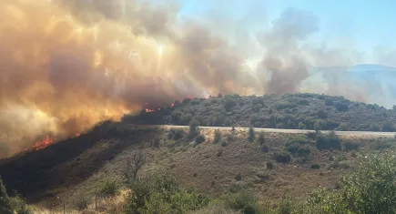 İzmir'de ormana sirayet eden yangına havadan ve karadan müdahale