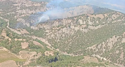Manisa’da orman yangını