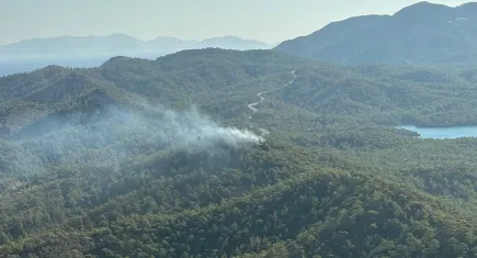 Muğla'da orman yangını