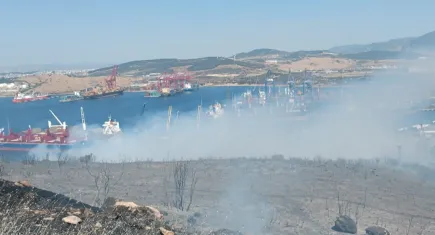 İzmir haber:  Aliağa'da orman yangını