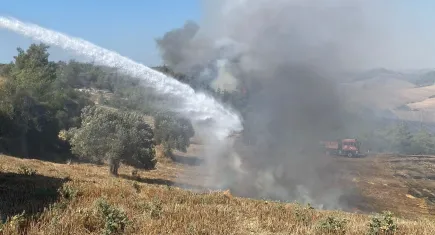Adana'da orman yangını