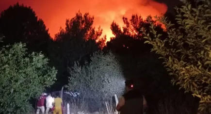İzmir haber: Yamanlar Dağı’nda orman yangını