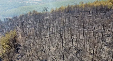 Aydın’daki yangının yayılma alanı havadan görüntülendi