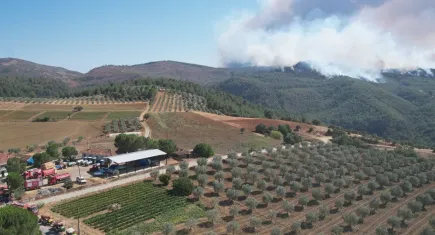 Manisa’da 4 gündür yanıyor: Alevler mücadele devam ediyor