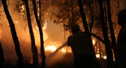 Orman yangınlarında 9 kişi tutuklandı