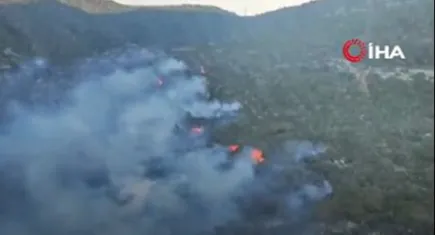 İzmir'de yangınlar 3 ilçeyi sardı: Sabah saatlerinde müdahale yeniden başaldı