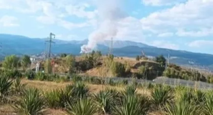 Çankırı'da orman yangını