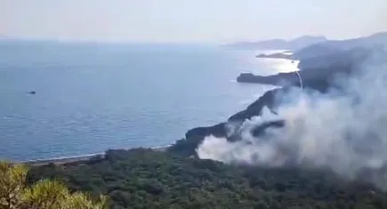 Datça'daki orman yangınıyla ilgili tutuklu sayısı 2'ye yükseldi