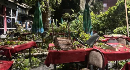 Asırlık çınar ağacının dalları devrilmişti… “Kıyamet kopuyor sandık…”