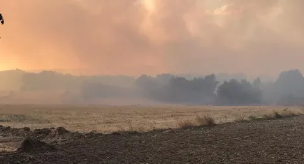 Bulgaristan sınırındaki yangın Edirne'nin köylerine dayandı