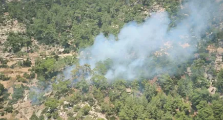 Muğla Yatağan’da orman yangını çıktı - Müdahale sürüyor