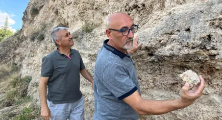 Kızılırmak kenarında fosilleşmiş yaprak izlerine rastlandı