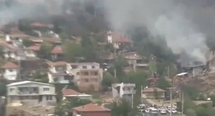 Soyer: Yanan ormanlar yapılaşma tehdidi altında