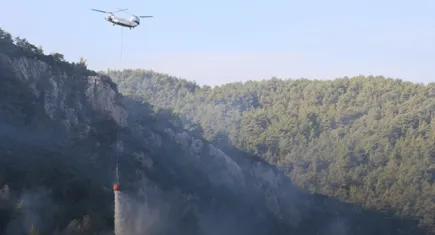 Muğla'daki yangına sabahın ilk ışıkları ile müdahale ediliyor