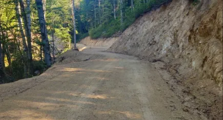 Düzce'de ormana yeni yol yapıldı