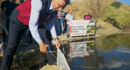 Tunceli’de yavru sazanlar salındı