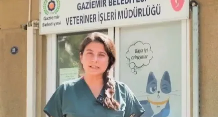 Gaziemir patili dostlara yuva arıyor