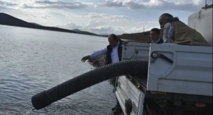 Bayburt’ta yavru balıklar gölete bırakıldı