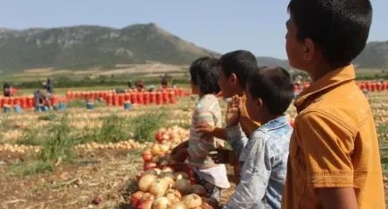 Kırsal yoksulluk bitmediği gibi derinleşerek devam ediyor!