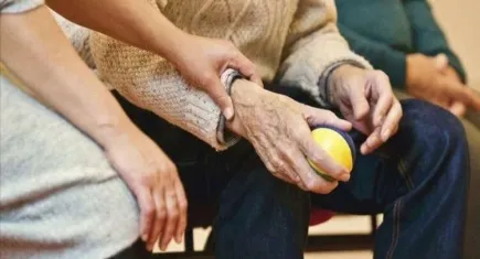 Alzheimer’a karşı doğal kalkan: Akdeniz diyeti