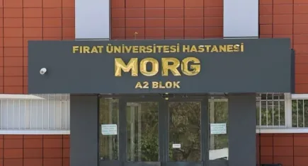 Şehir eşkıyası 7 yaşındaki Nisa'yı hayattan kopardı!